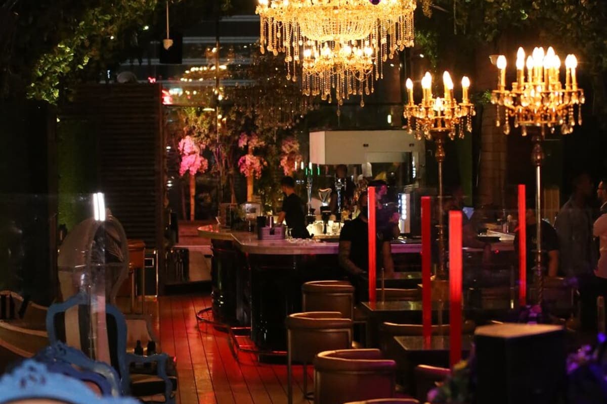 The Secret Garden VII