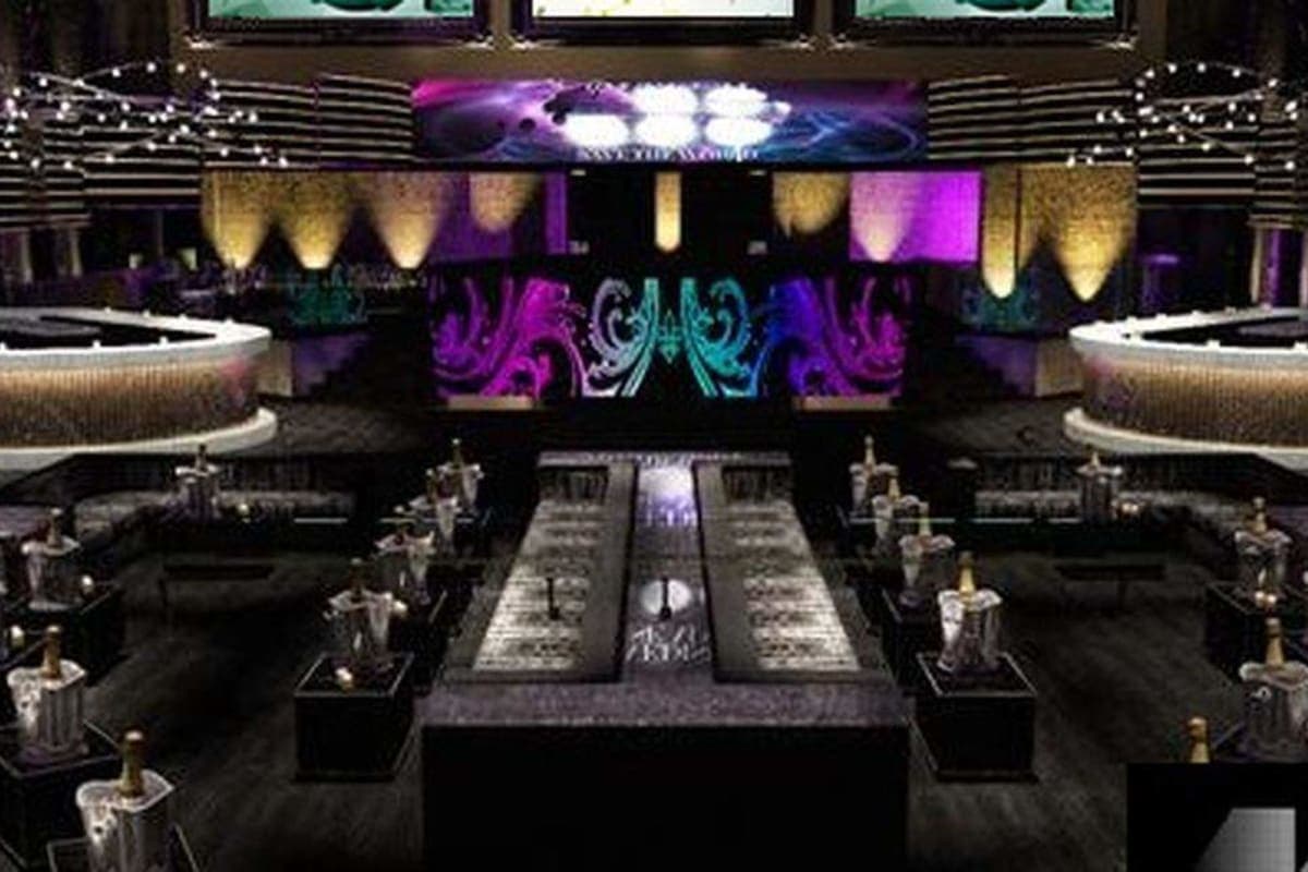 Private Mansion Party