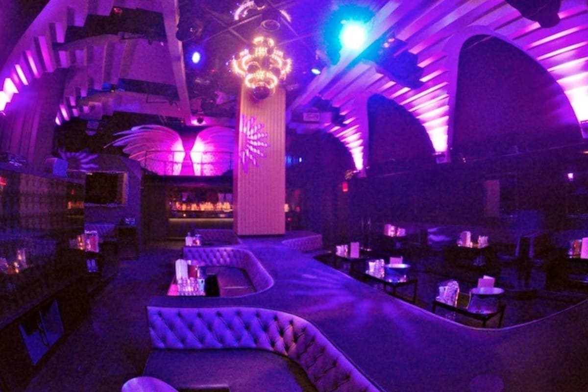 Provocateur New York