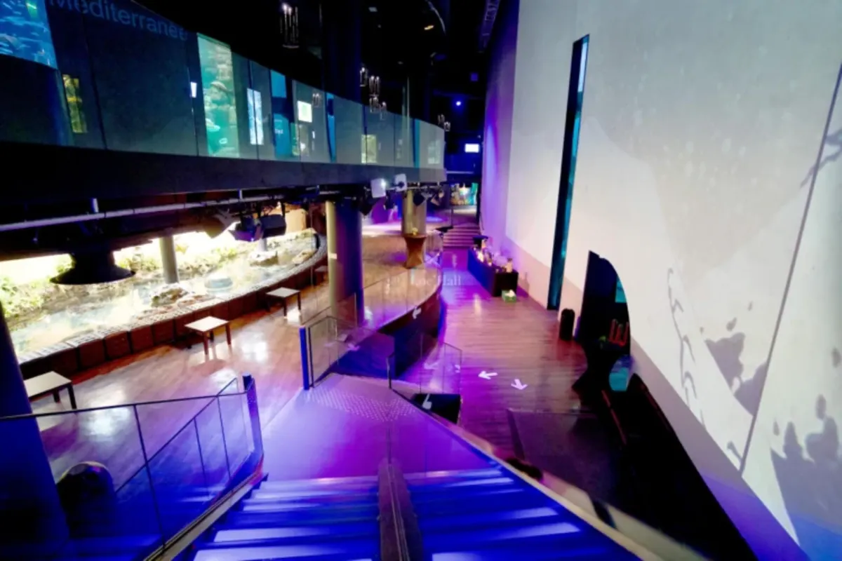 Terrace de L'Aquarium